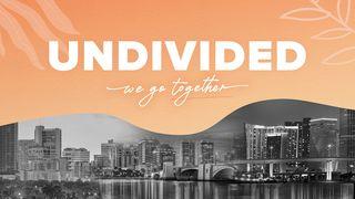 Undivided: We Go Together Titus 2:7-8 The Message