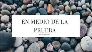 En medio de la prueba. Salmo 17:3 Nueva Versión Internacional - Español