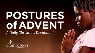 Postures Of Advent: A Daily Christmas Devotional Psalms 3:8 New Living Translation