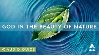 God In The Beauty Of Nature Job 12:7-9 New International Version