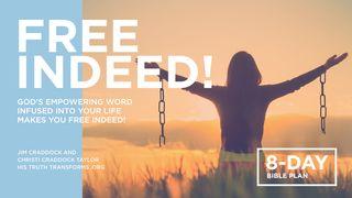 Free Indeed! God’s Empowering Word Infused Into Your Life Makes You Free Indeed 2 Corinthians 6:18 New International Version