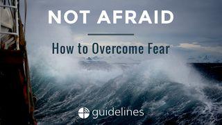 Not Afraid: How to Overcome Fear Psalmen 56:3 Schlachter 2000