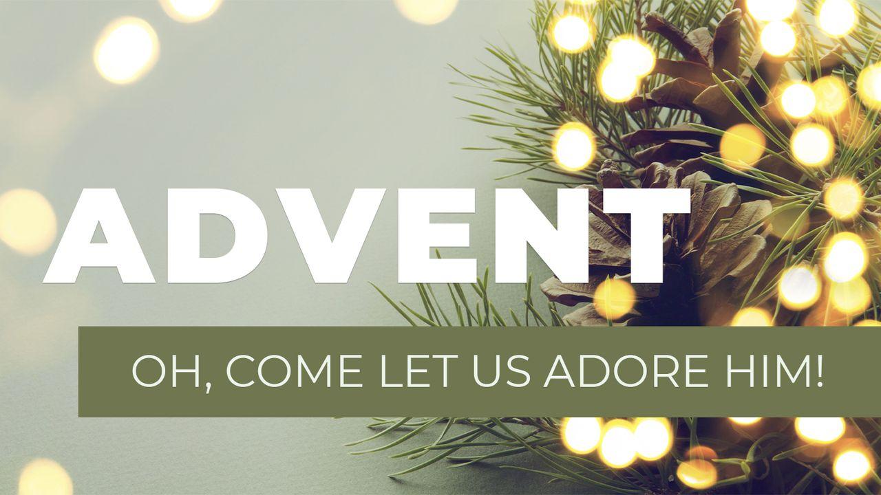 Advent - Oh, Come Let Us Adore Him!