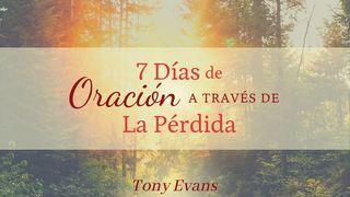 7 Días De Oración a Través De La Pérdida Romanos 5:1-2 Nueva Versión Internacional - Español