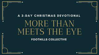 More Than Meets the Eye - 3 Day Christmas Devotional Yoḥanan (John) 14:6 The Scriptures 2009