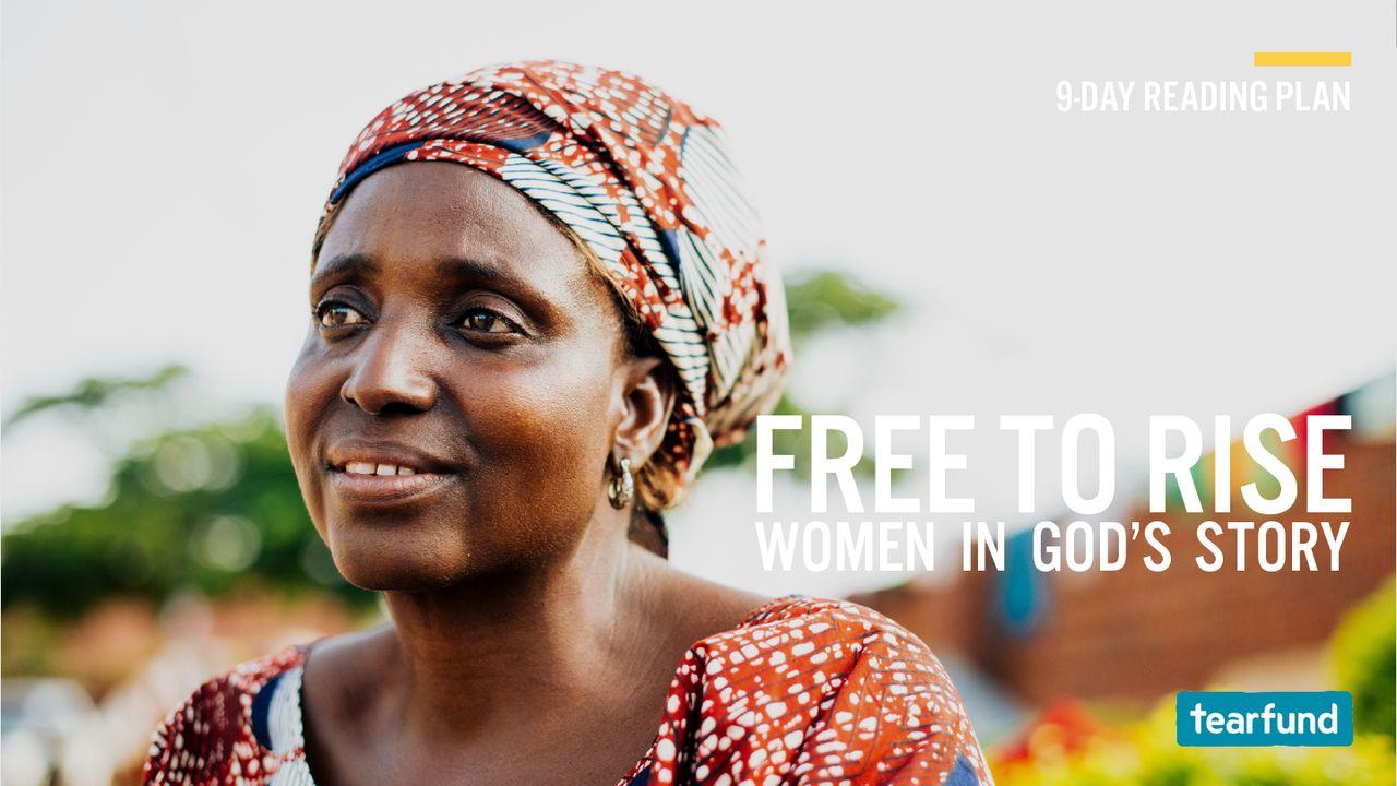 Free to Rise: Women in God's Story