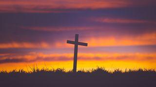 The Final Lessons: A Holy Week Plan Matthew 27:7 New Living Translation