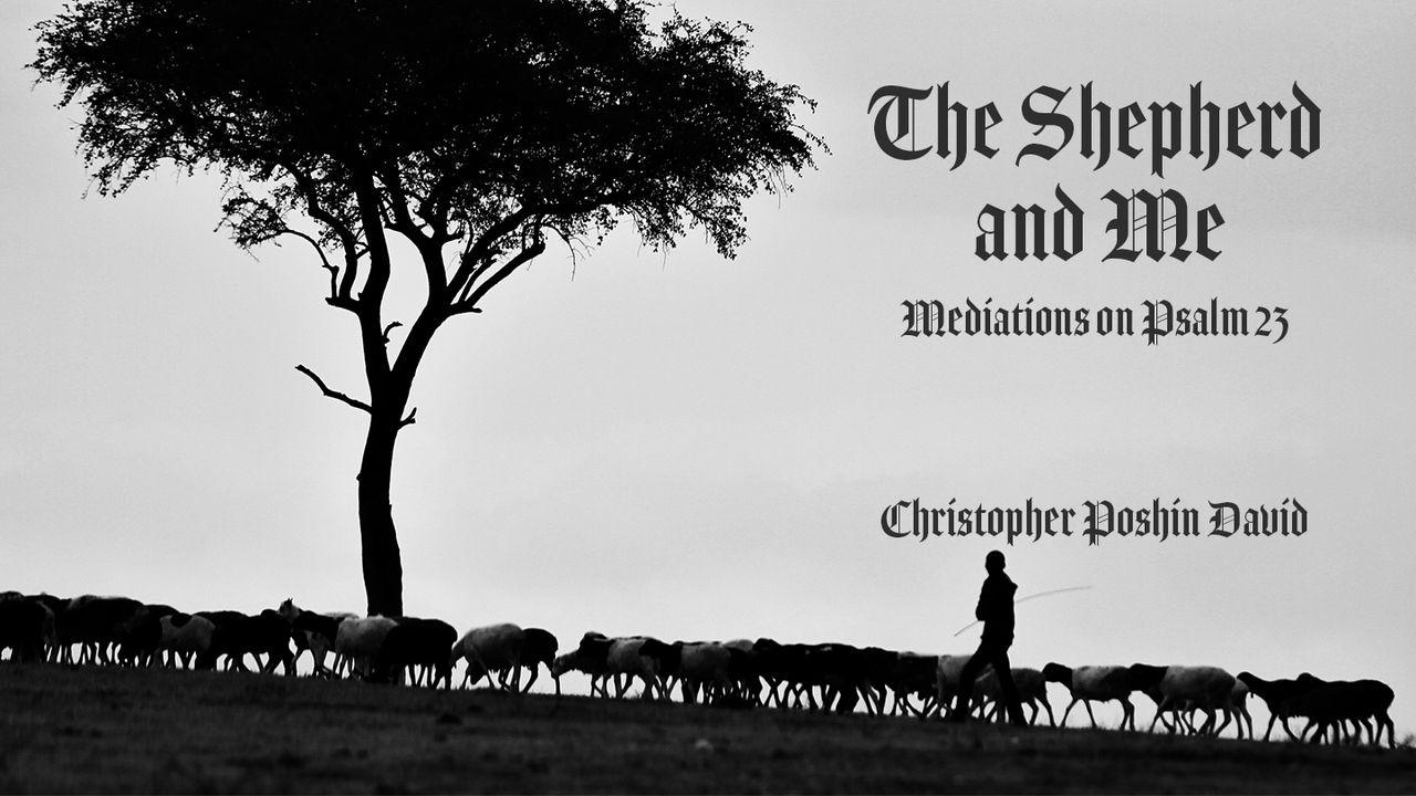 The Shepherd and Me