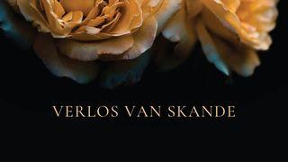 Verlos Van Skande JOHANNES 21:17 Afrikaans 1933/1953