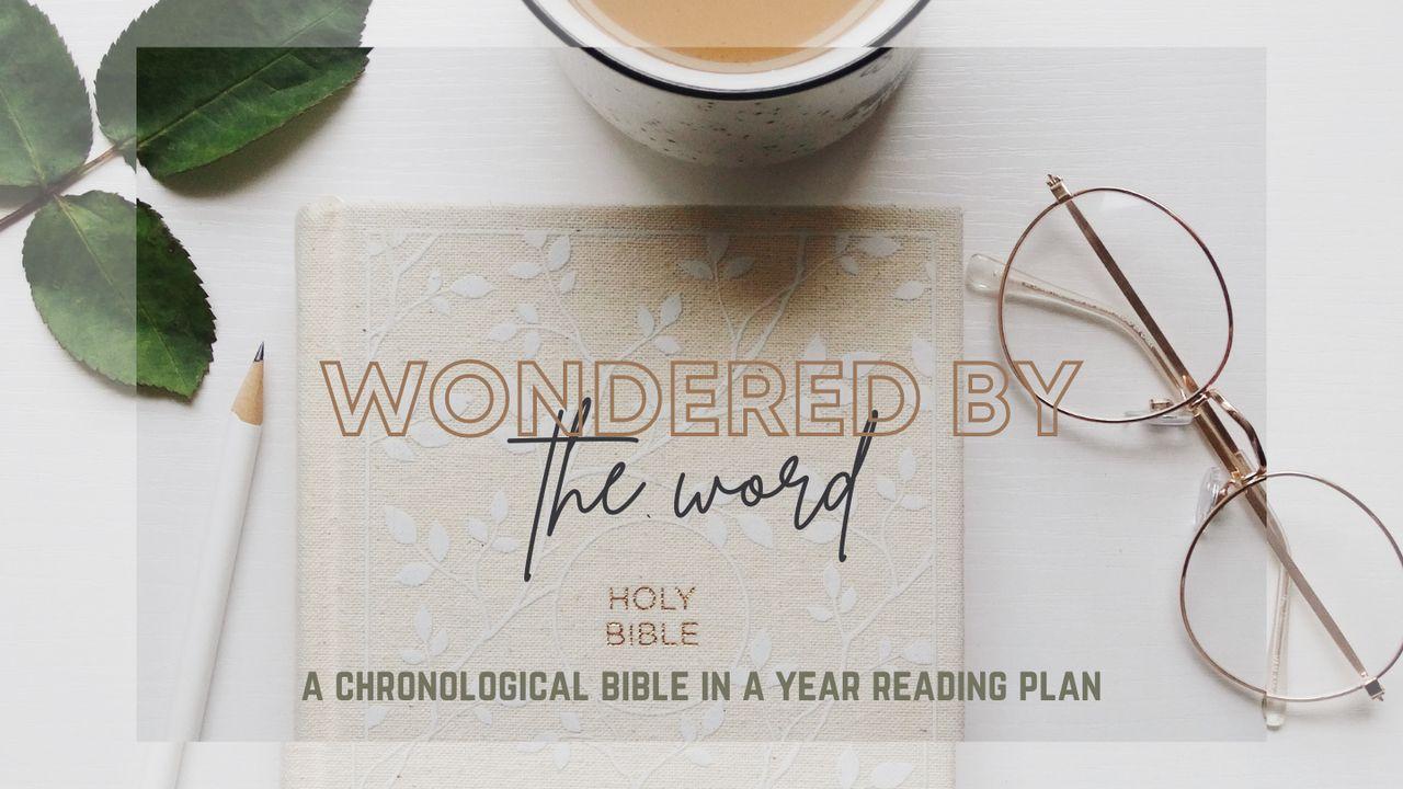 Wondered by the Word — The Bible in a Year