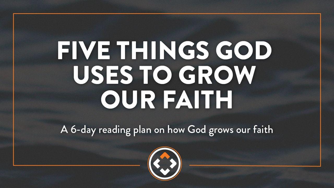 Five Things God Uses to Grow Your Faith