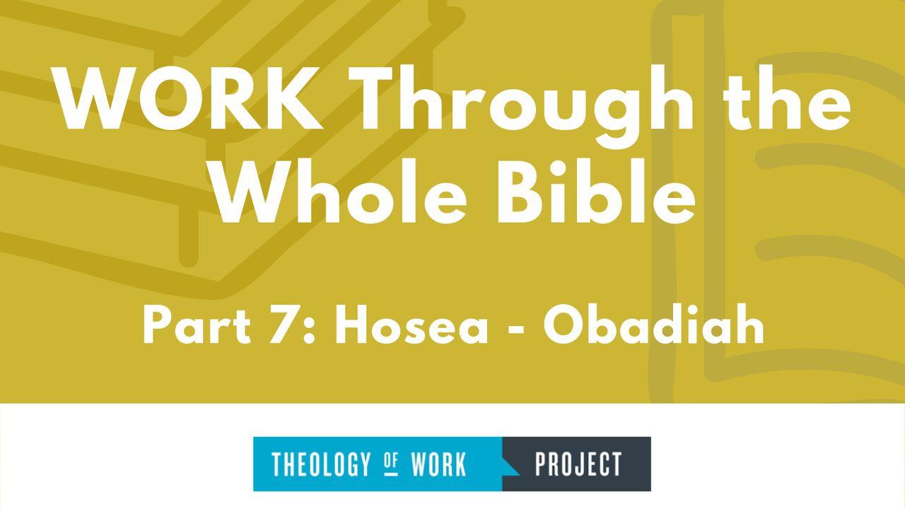 Work Through the Whole Bible, Part 7