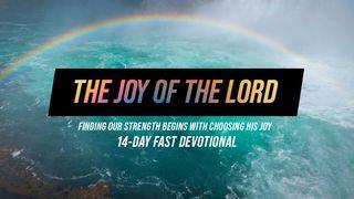 The Joy of the Lord Psalms 30:4 New Century Version