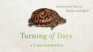 Turning of Days: Lessons From Nature, Season, and Spirit Génesis 8:20-22 Nueva Versión Internacional - Español