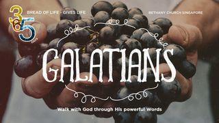 Book of Galatians Gálatas 5:23 Biblia Dios Habla Hoy