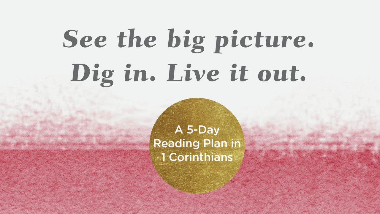 See the Big Picture. Dig In. Live It Out: A 5-Day Reading Plan in 1 Corinthians