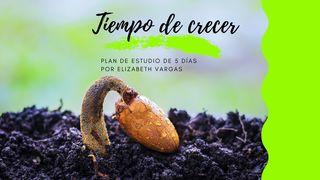Tiempo De Crecer Salmo 62:7 Nueva Versión Internacional - Español