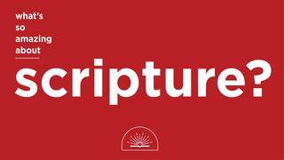 What's So Amazing About Scripture? Deuteronomy 8:3 New International Version