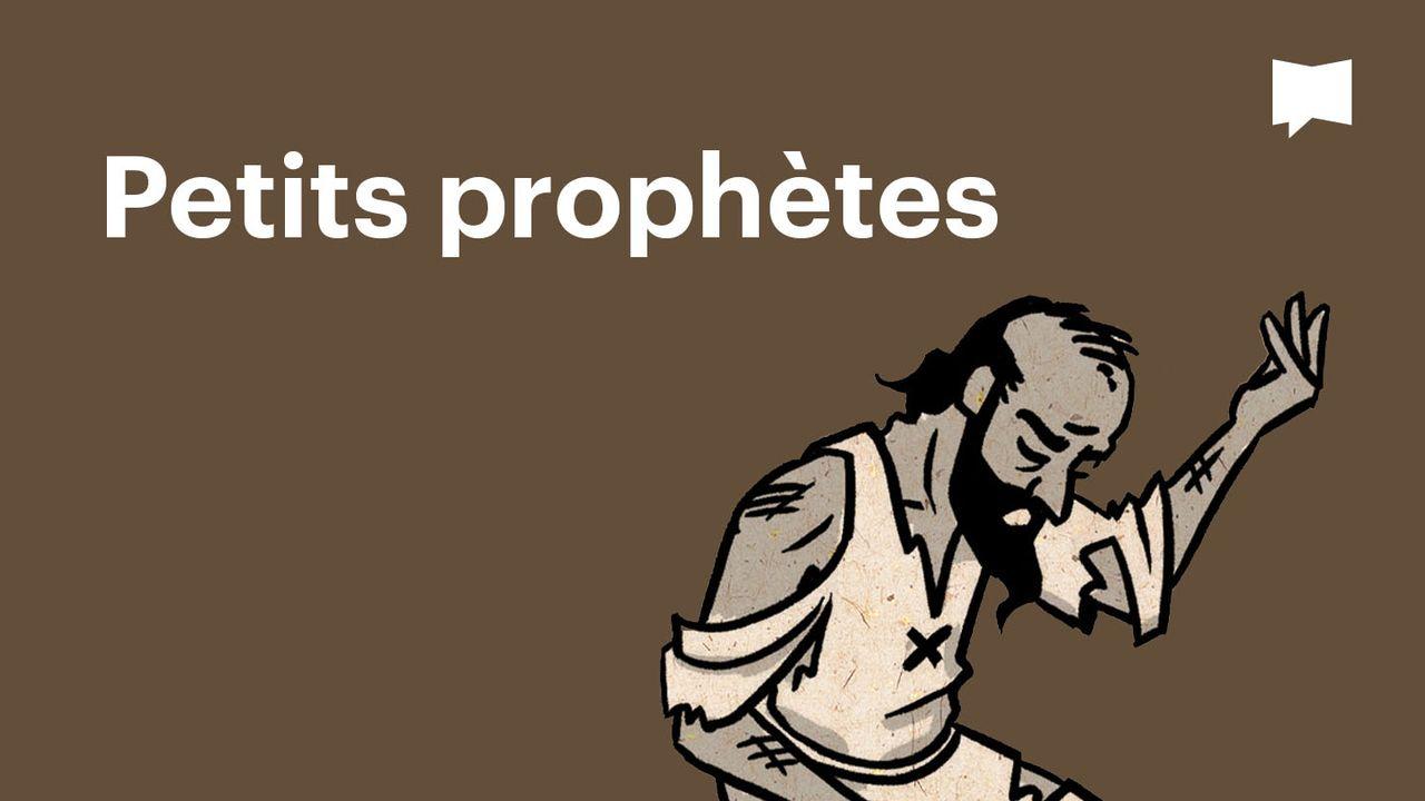 BibleProject | Petits prophètes