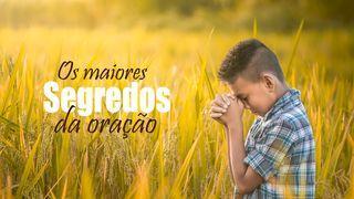 Descubra Os Segredos Da Oração Hebreus 10:21 Tradução Brasileira