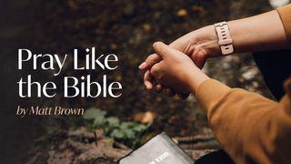 Pray Like the Bible Luke 5:16 New American Standard Bible - NASB 1995