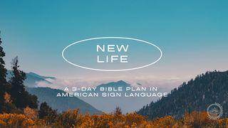 New Life Psalm 139:23-24 English Standard Version 2016
