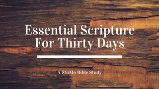 Essential Scripture For 30 Days Matthew 24:34 New King James Version