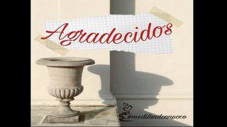 Agradecidos Colosenses 3:25 Nueva Versión Internacional - Español