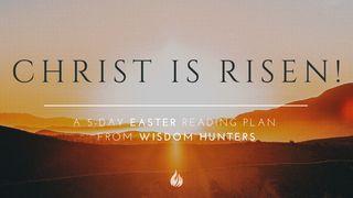 Christ Is Risen! Acts 4:34-35 The Message