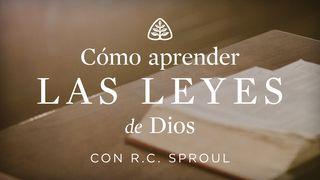 Cómo aprender las leyes de Dios 1 Corintios 11:24 Nueva Versión Internacional - Español