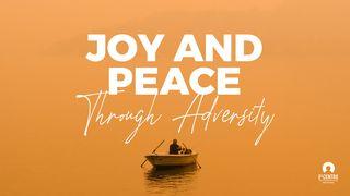 Joy and Peace Through Adversity Philippians 2:29 New International Version