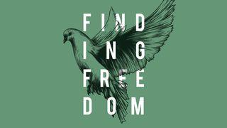 Finding Freedom Romans 14:17-19 Common English Bible