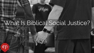 What Is Biblical Social Justice? Matthew 25:31-46 New Revised Standard Version
