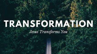 Tranformation: Jesus Tranforms You Psalms 95:7-8 New Living Translation