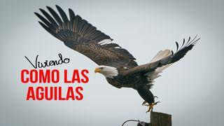 Viviendo Como Las Águilas Salmo 91:4 Nueva Versión Internacional - Español