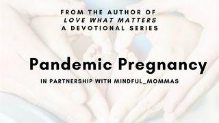 Pandemic Pregnancy Luke 2:51-52 New International Version