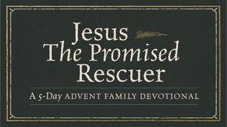 Jesus, the Promised Rescuer: An Advent Family Devotional Isaiah 53:11-12 King James Version
