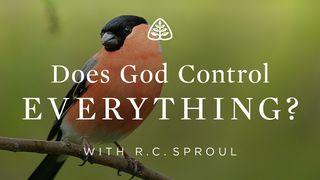 Does God Control Everything? 1 Peter 1:2-23 Holman Christian Standard Bible