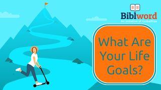 What Are Your Life Goals? Matthew 11:25 New Living Translation