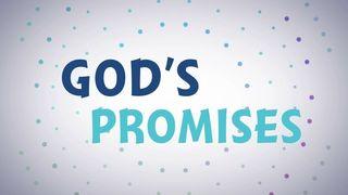 The Process Between the Promise Made and the Promise Fulfilled Isaiah 30:18 New International Version