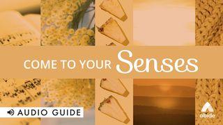 Come to Your Senses Psalm 34:8 English Standard Version 2016