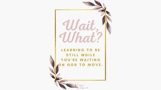 Wait, What? Learning to Be Still, While You’re Waiting on God to Move Psalms 95:6 New International Version