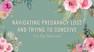 Navigating Pregnancy Loss & Trying to Conceive: A 5-Day Plan Isaiah 41:13 Amplified Bible
