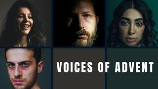 Voices of Advent: 4 Famous Encounters With Jesus Luke 5:24 New International Version