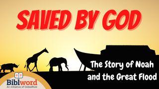 Saved by God, the Story of Noah and the Great Flood Lucas 17:26-30 Nueva Versión Internacional - Español