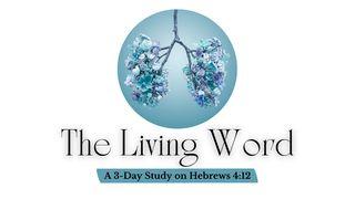 The Living Word Hebrews 4:12 Christian Standard Bible