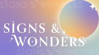 Signs & Wonders John 5:11-13 New International Version (Anglicised)