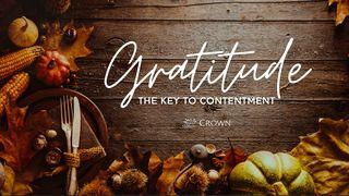 Gratitude: The Key to Contentment  I Timothy 6:11-12 New King James Version
