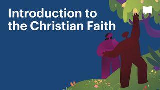 BibleProject | Introduction to the Christian Faith Luke 3:22 Common English Bible