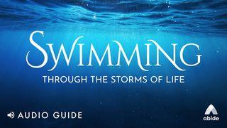 Swimming Through the Storms of Life Proverbs 11:2 New International Version